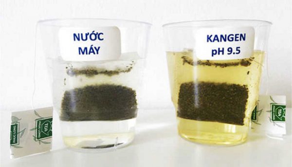 Nước ion kiềm hay còn gọi là nước kangen có thể làm trà chiết xuất tốt hơn mặc dù không cần đun sôi